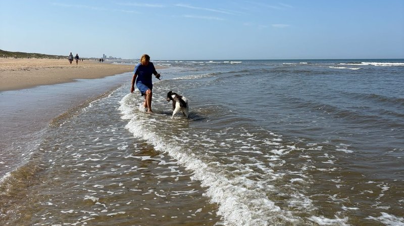Hanneke loopt op het strand