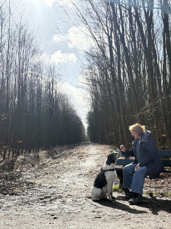 Wandelen met een vraag, buiten in het bos